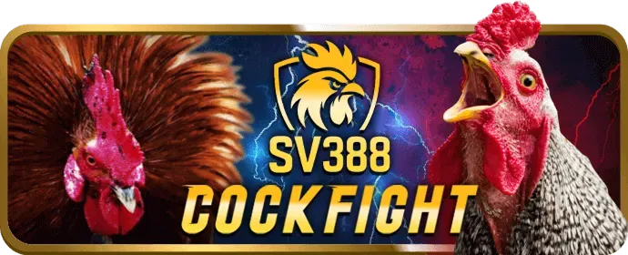Hướng dẫn đăng ký và tham gia Sonclub